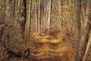 Quirauk School Rd, Sabillasville, MD 21780 - Photo 1