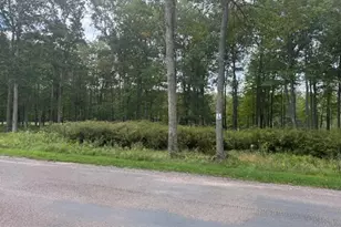 0 Crows Point Rd, Swanton, MD 21561 - Photo 1