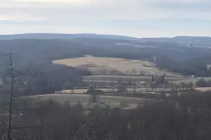 Devils Half Acre Rd, Accident, MD 21520 - Photo 1