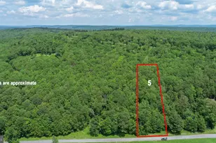 Lot 5 Greenwood Ridge Rd, Accident, MD 21520 - Photo 1