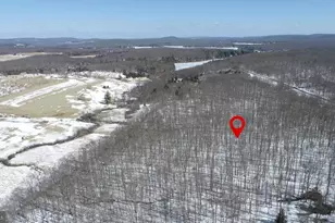 Lot 2 Pergin Farm Rd, Oakland, MD 21550 - Photo 1