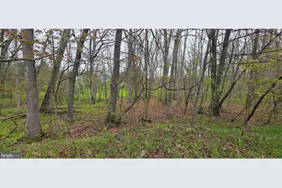 C Street, Oakland, MD 21550 - Photo 1