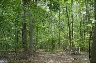 12605 Cedarville Rd, Brandywine, MD 20613 - Photo 1