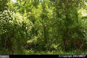Clinton Dr, Accokeek, MD 20607 - Photo 1