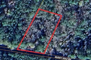 0 Muddy Hole Rd, Tyaskin, MD 21865 - Photo 1