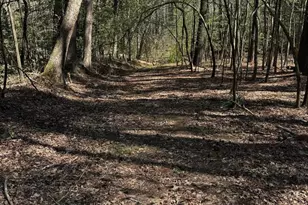 0 Public Landing Rd, Snow Hill, MD 21863 - Photo 1