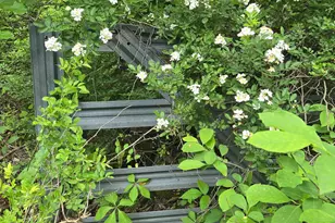 4127 Hardscrabble, Linden, VA 22642 - Photo 1