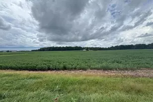 11378 Timbuktu Ln, Midland, VA 22728 - Photo 1