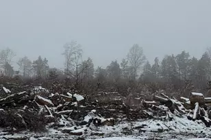 000 Old Mill Rd, Midland, VA 22728 - Photo 1