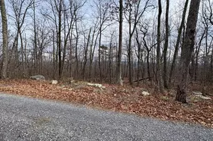 Lot 57 58 59 Iroquois Trail, Winchester, VA 22602 - Photo 1