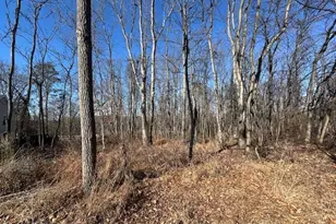 105 Quail Ct, Cross Junction, VA 22625 - Photo 1