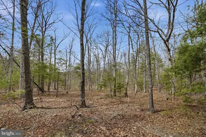 5.35 Ac # 16 B- Back Mountain Rd, Winchester, VA 22602 - Photo 1