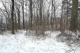 Lot 4 Duwamish Trail, Winchester, VA 22602 - Photo 1