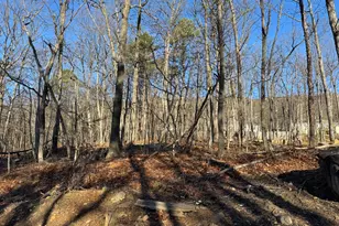 Lot 6 Quail Dr, Winchester, VA 22602 - Photo 1