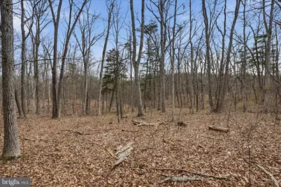Lot 3 Arapaho Lane, Stephens City, VA 22655 - Photo 1