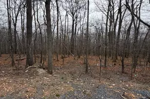 Arbutis Trail, Star Tannery, VA 22654 - Photo 1