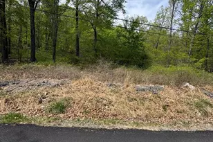 Lot 38 Huron Trail, Winchester, VA 22602 - Photo 1