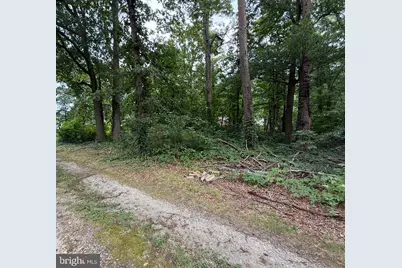 6821 Ridgeway Drive, Springfield, VA 22150 - Photo 1