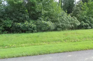 Blue Sky Way, Bumpass, VA 23024 - Photo 1