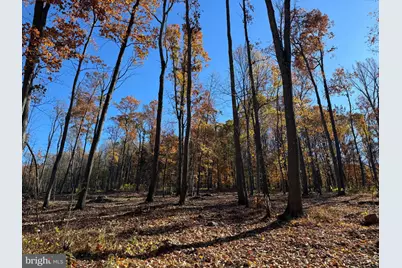 0 Digging Bear Ln, Purcellville, VA 20132 - Photo 1