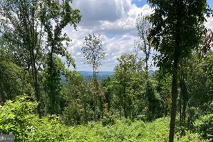 13477 Mountain Rd, Lovettsville, VA 20180 - Photo 1