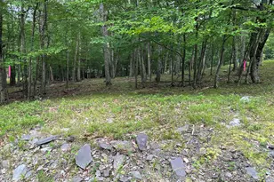 Lot 7 Cardinal Dr, Bushkill, PA 18324 - Photo 1