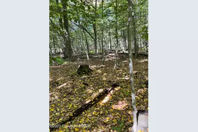  Ff33Hf Breezewood Drive, Albrightsville, PA 18210 - Photo 2