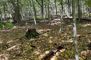 Ff33Hf Breezewood Dr, Albrightsville, PA 18210 - Photo 2