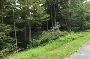 367 & 368 Sparrow Ln, Jim Thorpe, PA 18229 - Photo 2