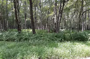 A141 Rosewood Dr, Jim Thorpe, PA 18229 - Photo 1