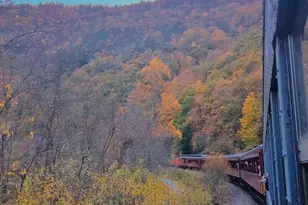 A141 Rosewood Dr, Jim Thorpe, PA 18229 - Photo 16