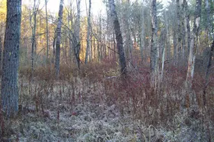 A141 Rosewood Dr, Jim Thorpe, PA 18229 - Photo 4