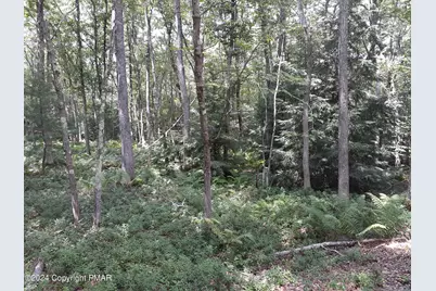  A141 Rosewood Drive, Jim Thorpe, PA 18229 - Photo 2