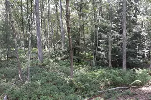 A141 Rosewood Dr, Jim Thorpe, PA 18229 - Photo 2