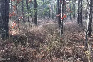 A141 Rosewood Dr, Jim Thorpe, PA 18229 - Photo 10