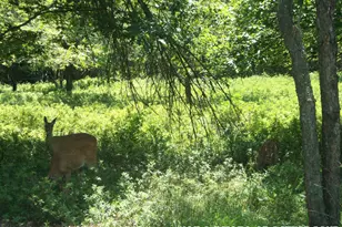 C1473 Holmes Way, Albrightsville, PA 18210 - Photo 1