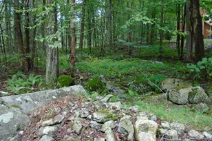 368 Ridge Rd, Pocono Lake, PA 18347 - Photo 36