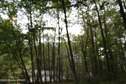  Muskwink Dr1, Pocono Lake, PA 18347 - Photo 6