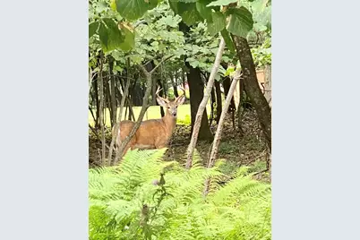  Lot #40 Kent Clarke Road, Lake Harmony, PA 18624 - Photo 10