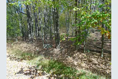  Riverside Lane, Pocono Lake, PA 18347 - Photo 4
