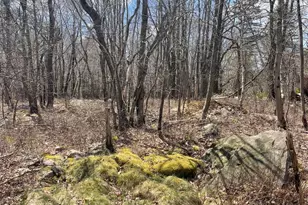 Buck Hill Road 72, Blakeslee, PA 18610 - Photo 1