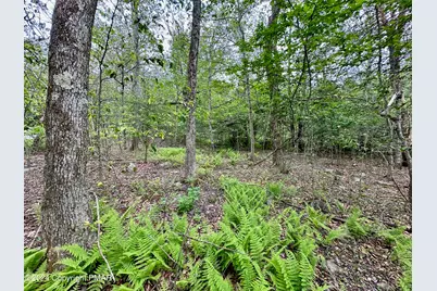  56 B June Dr, Tobyhanna, PA 18466 - Photo 6