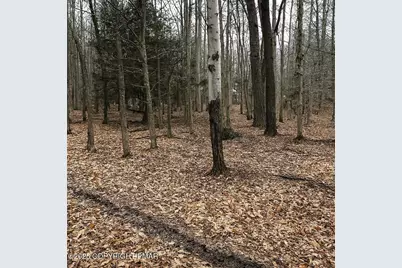  Timberlane Dr & Tamarack Trail, Albrightsville, PA 18210 - Photo 1