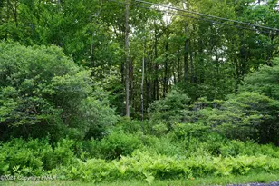 Wagner Way, Pocono Lake, PA 18347 - Photo 1