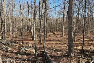 Lot 282 Saunders Ct, Bushkill, PA 18324 - Photo 1