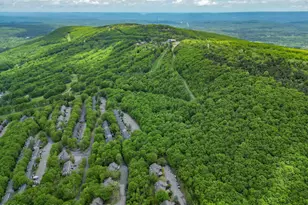 270 Big Pocono Pass, Tannersville, PA 18372 - Photo 58