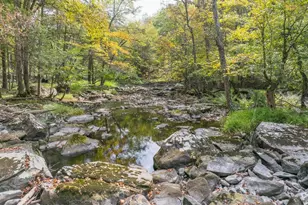 250 Brentwood Dr, Bushkill, PA 18324 - Photo 68