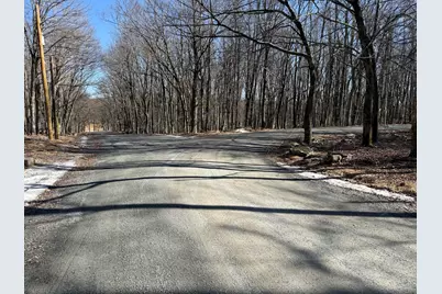  Skyview Lakes Mountain Drive & Oakwood Drive Corner, Greentown, PA 18426 - Photo 20