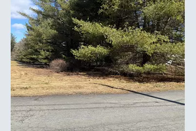  Woodledge Village Meadow Court, Hawley, PA 18428 - Photo 16