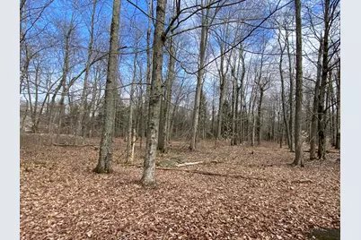  1018 W Wadi Road, Pocono Lake, PA 18347 - Photo 4